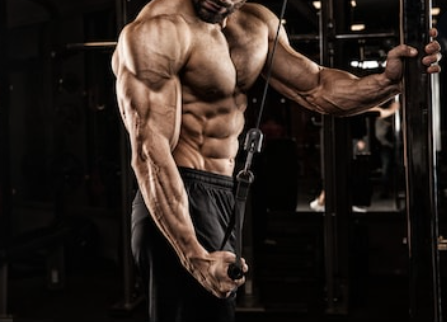 Why is BodyBuilding Training the Best for Longevity?
