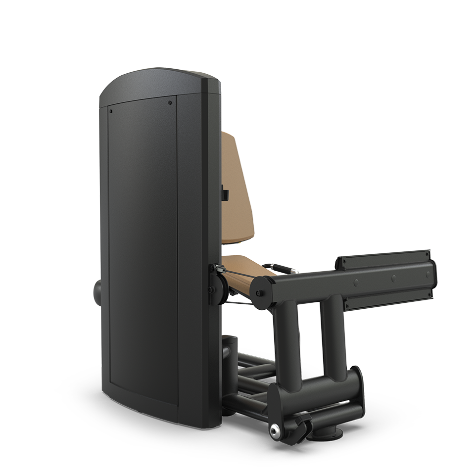 True Fitness Palladium Rotary Calf