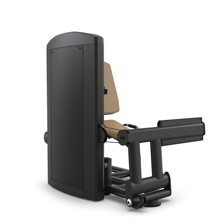 True Fitness Palladium Rotary Calf