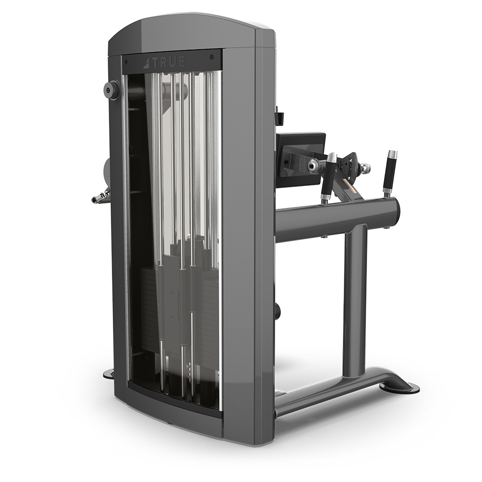 True Fitness Palladium Glute Press