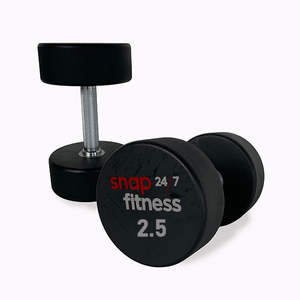 Snap Fitness 2.5kg Urethane Moulded DB - Gray Logo