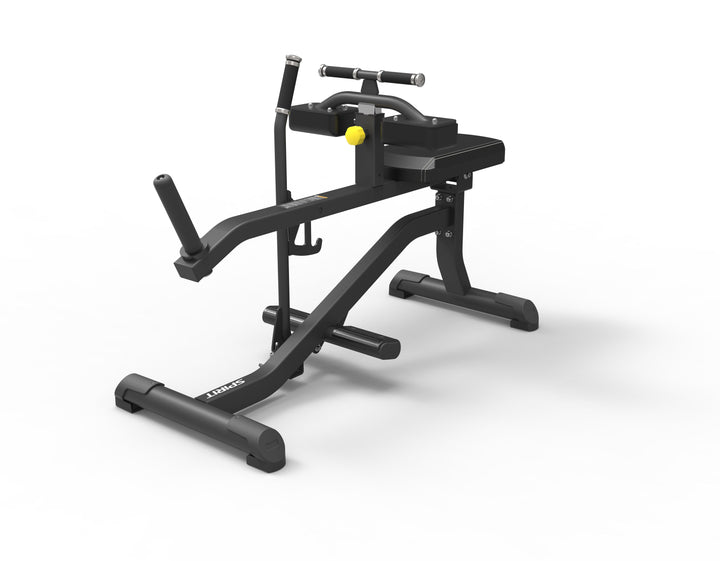 Spirit Fitness Seated Calf